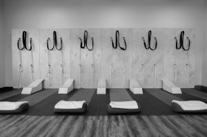 iyengar rope wall image